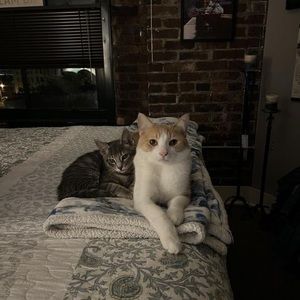 Meet your Posher, Cindy